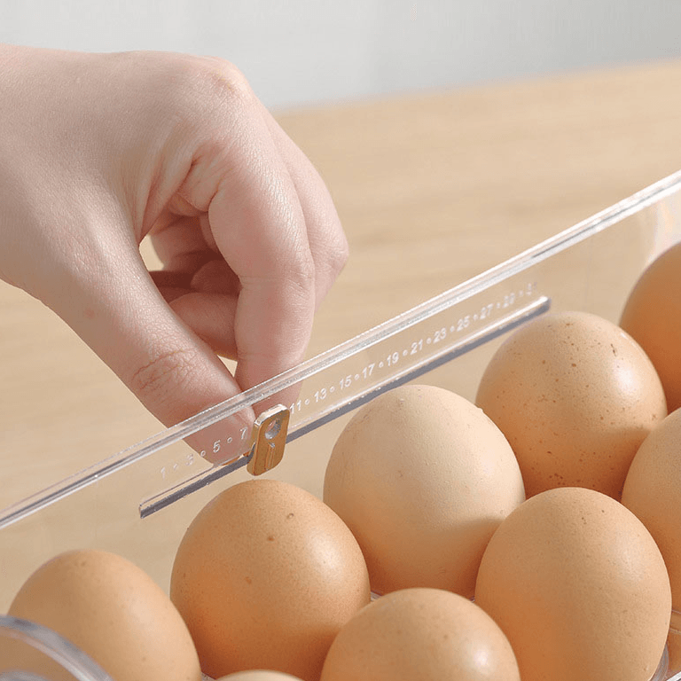 Vertical egg holder - 30 eggs