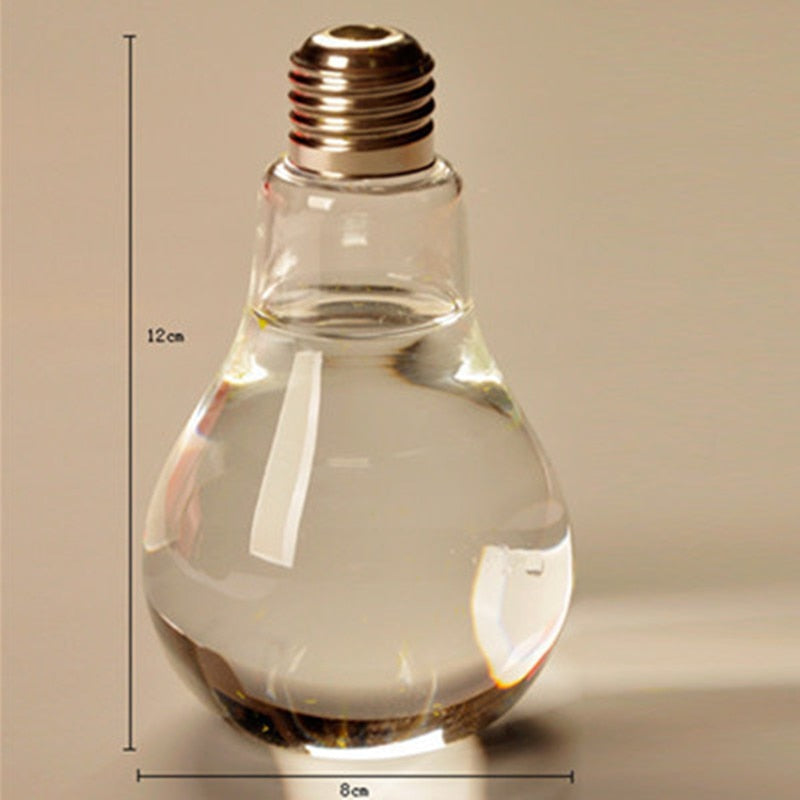 Decorative Hydroponic Bulb Plant Pot
