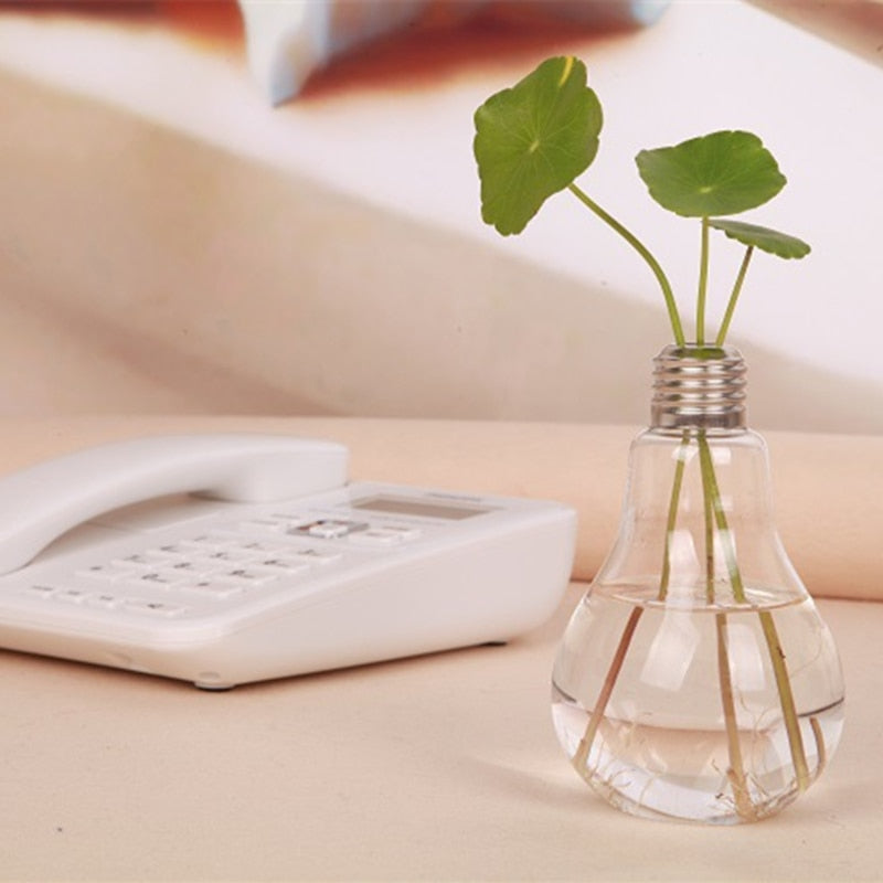 Decorative Hydroponic Bulb Plant Pot