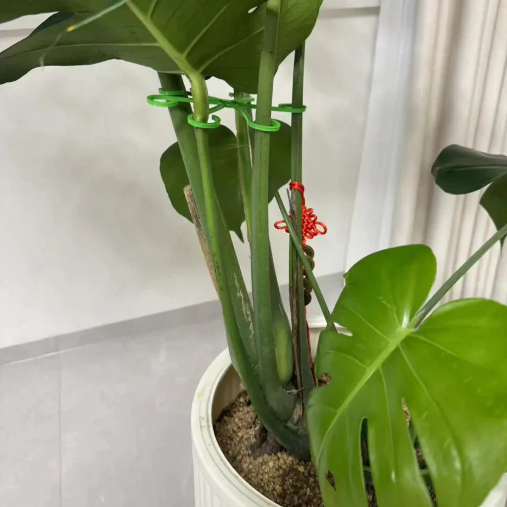 Plant Cable Holder - 4 Pieces