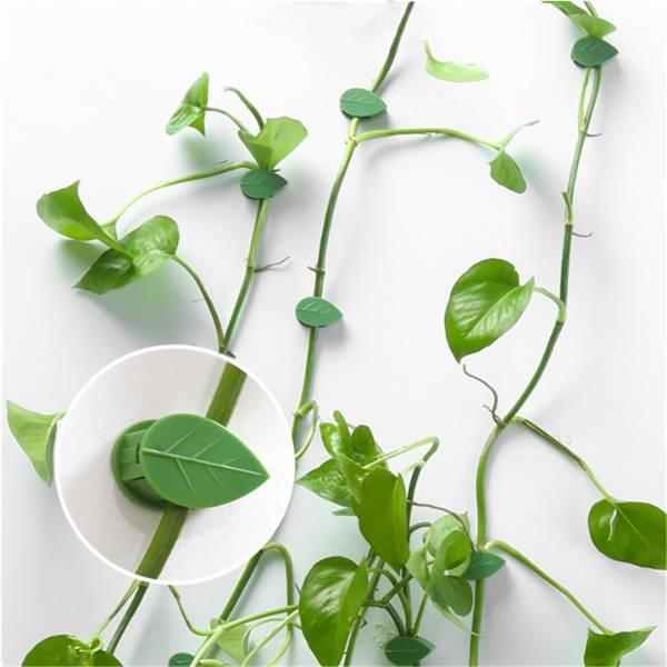 Self-Adhesive Plant Hook - Invisible Leaf Clip Holder