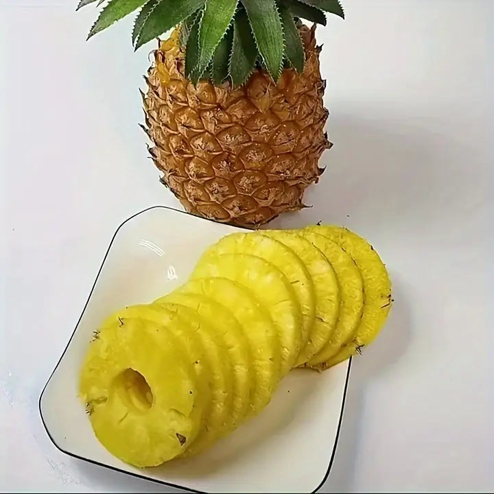 Pineapple Peel Remover and Slicer