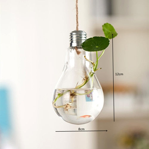 Decorative Hydroponic Bulb Plant Pot