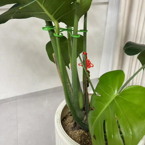 Plant Cable Holder - 4 Pieces